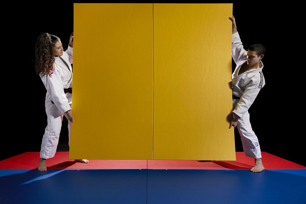 MMA & BJJ Tatami I-Tis Training 200*100*5cm